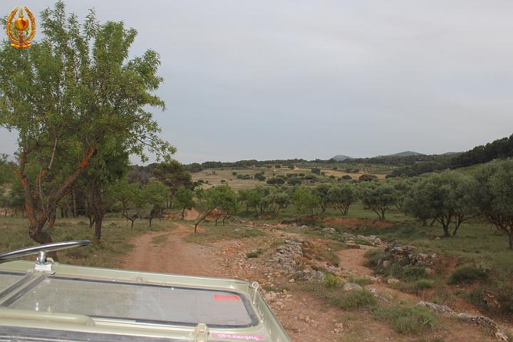 Imagen 267.jpg